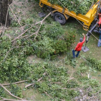 Storm Damage Cleanup